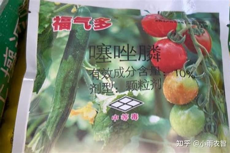 黄瓜冲什么肥料黑又亮