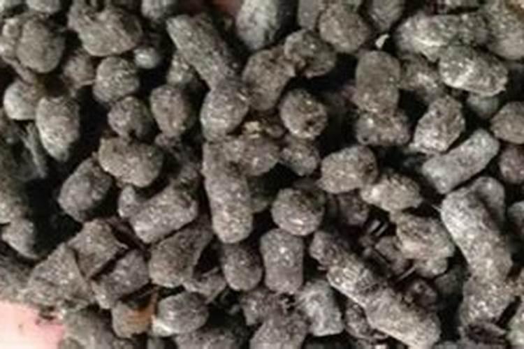 猫粪便可以做肥料吗