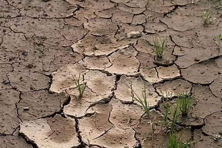 磷肥的正确使用方法