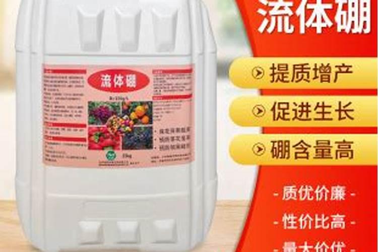 如何施肥让新建的大棚土壤充满营养