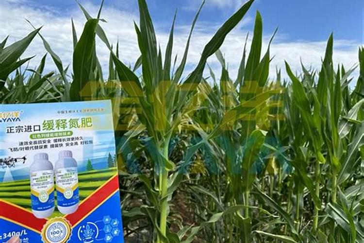 单质氮肥生产用登记吗