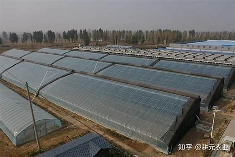 水溶肥是什么肥料 水溶性肥料的优缺点有哪些