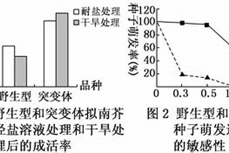 李子树什么时候打药？打什么药最有效呢？？？