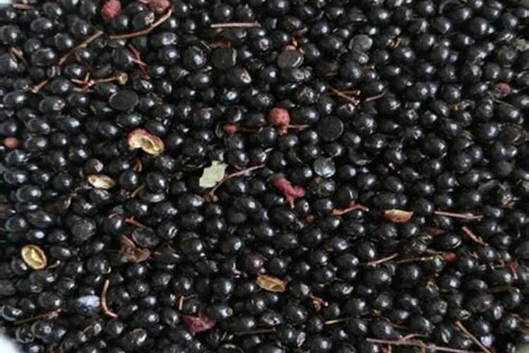 花椒种子能做肥料吗