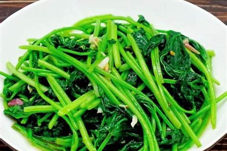 家庭种菜用什么土最好