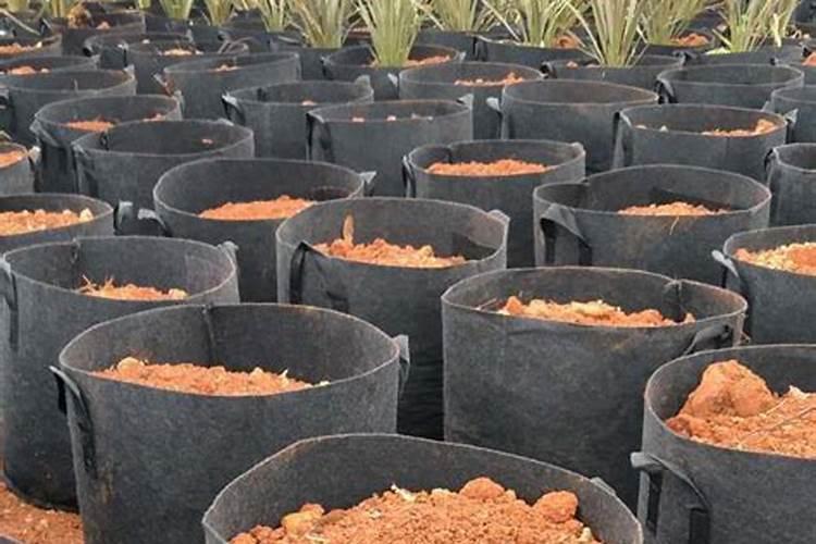 施肥什么叫冲施