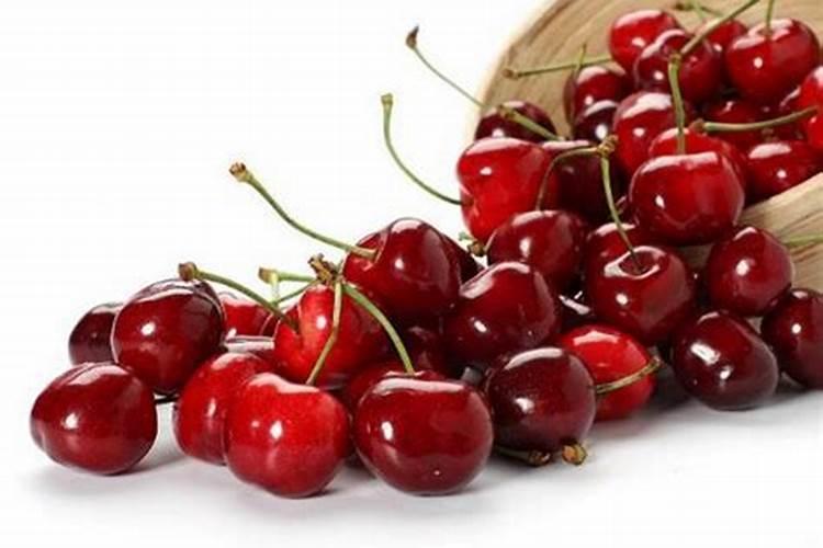 盆栽车厘子施什么肥最好