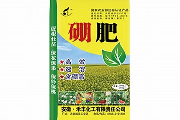 西红柿浇什么肥料最好