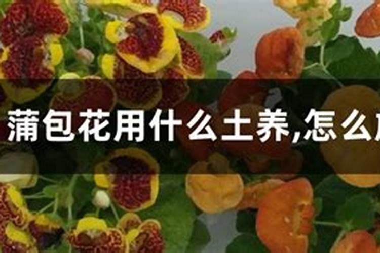 复合肥怎么施效果最好