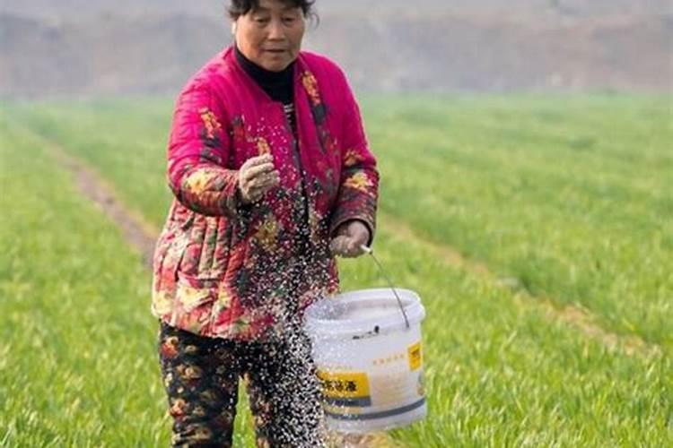 合理施肥的方法有哪些