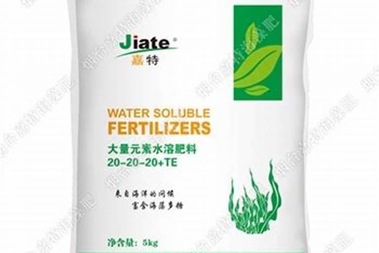 烟台嘉特海藻肥怎么样暖棚番茄冲施肥