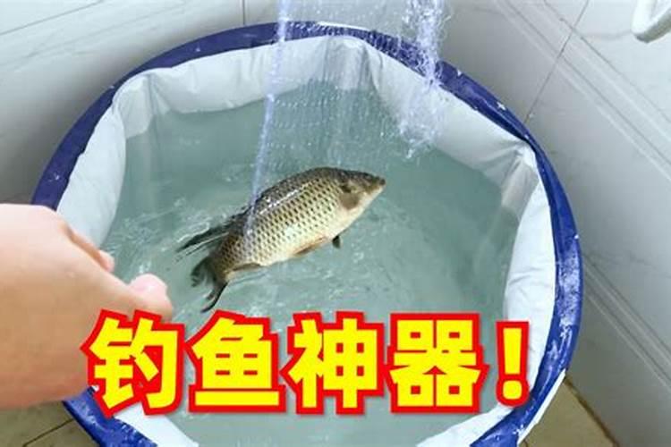 鱼蛋白类肥料你选对了吗？