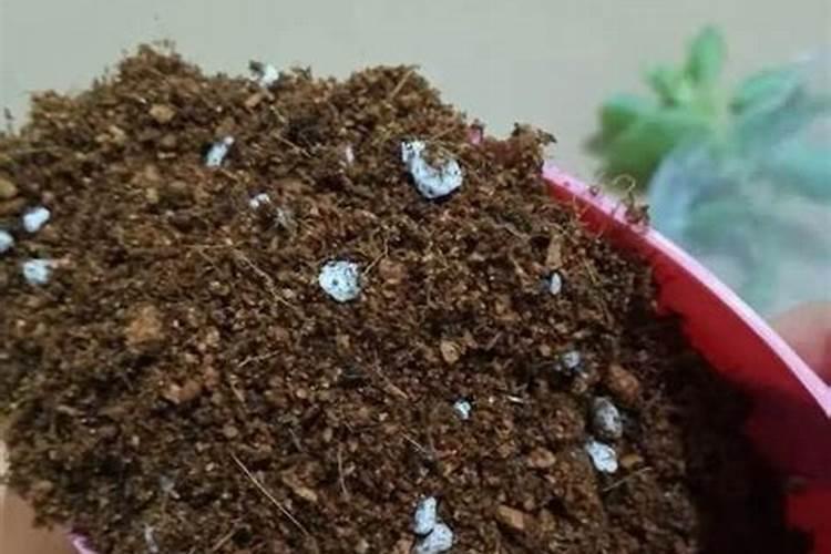 磷铵肥料的作用是什么 磷铵这种肥料有什么特点