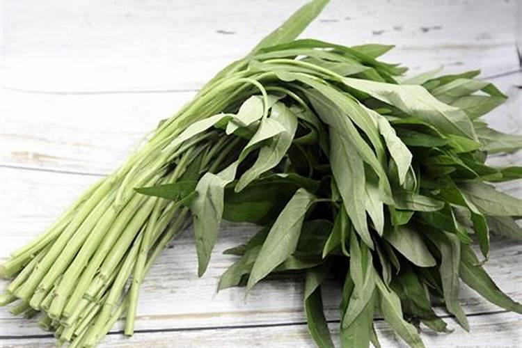 蕹菜(空心菜)叶子和芽发白,不是斑点状的,就是整张叶子都白。百度知...