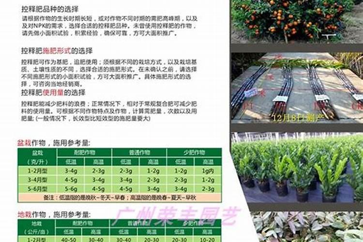 养文竹应该施什么肥料啊？