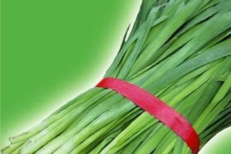 韭菜用什么肥料