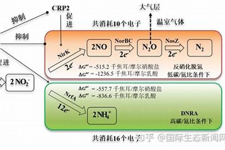 硝酸盐是什么肥料