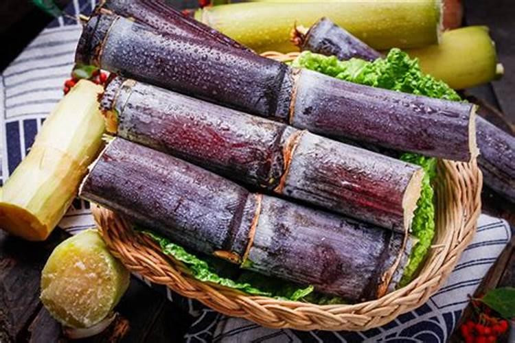 甘蔗施什么肥？