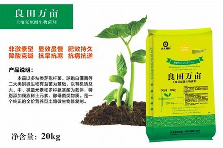 菌肥、菌剂、有机肥、土壤调理剂有什么区别？最详细的介绍