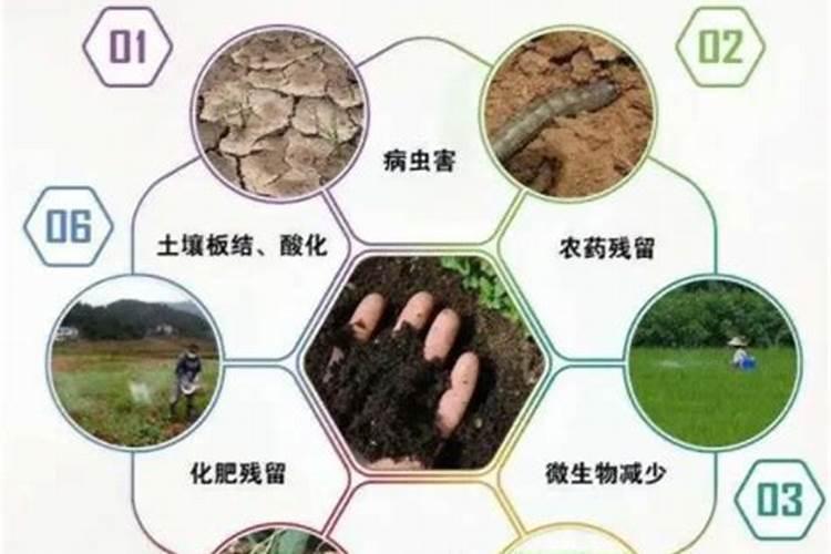 改良土壤有哪些方法