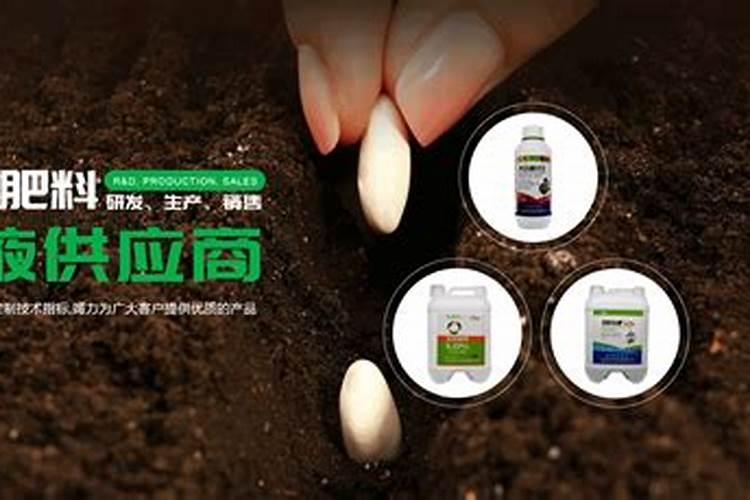 硼肥会随水流失吗？