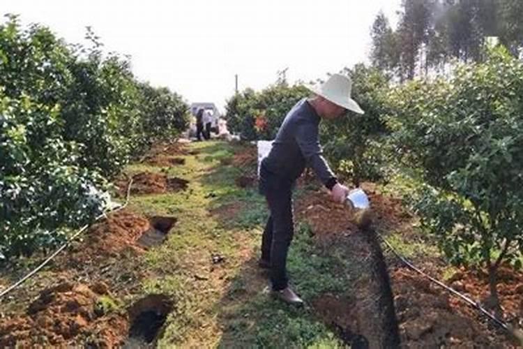 一亩地用多少化肥正常