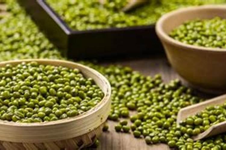 绿豆怎么当花肥
