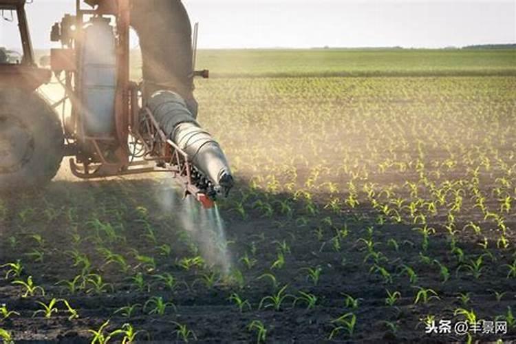 不合理的施肥方式有哪些