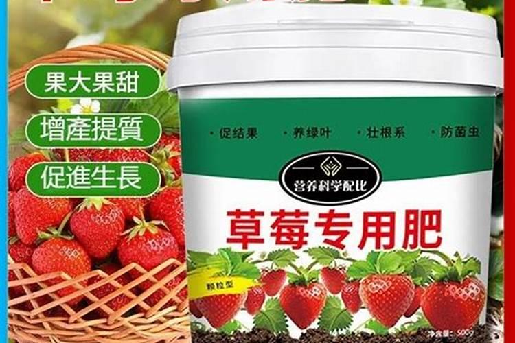 草莓用什么肥料减少畸形果,结果多？草莓专用叶面肥,大棚草莓温度管理