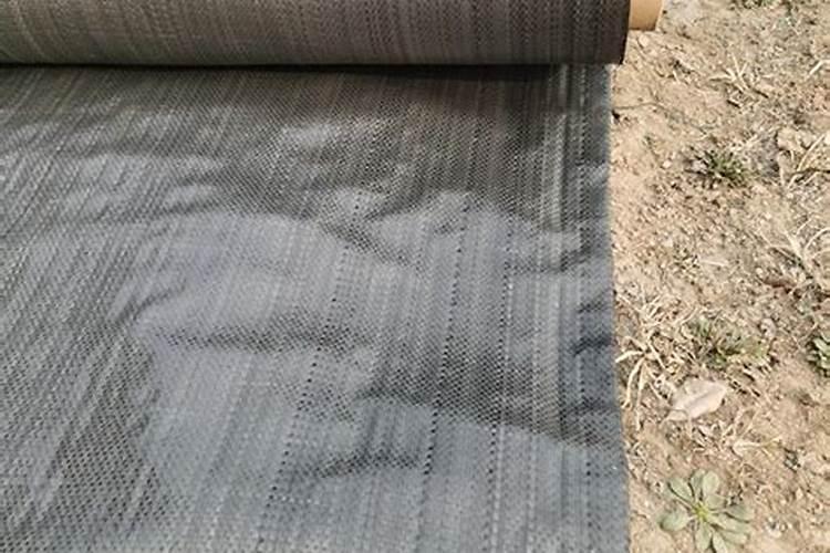 葛根膨大期管理方法