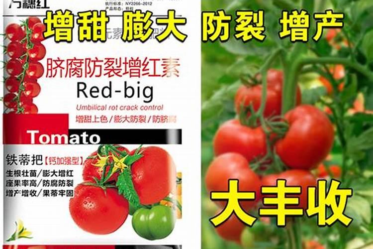 西红柿追肥用什么肥料