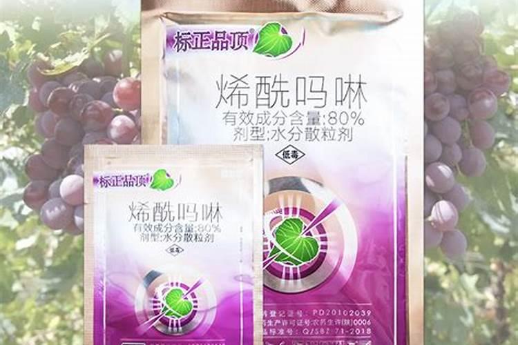 菠菜白斑病用什么农药