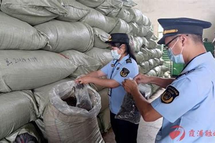 幼龄茶园在干旱季节如何追肥？追肥不当会导致什么后果？