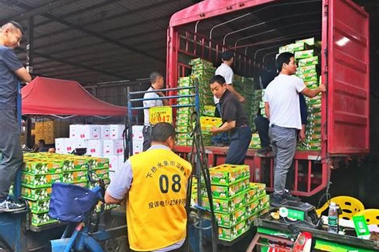 天脊16620硝酸钾水溶肥的批发价格是多少？