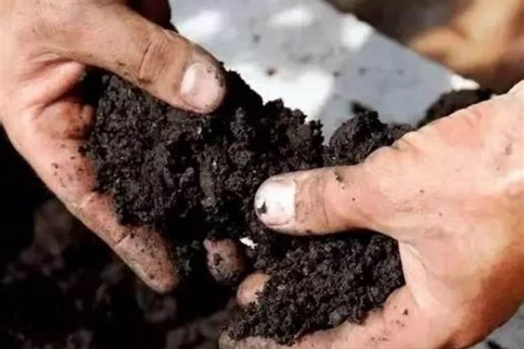 内蒙古腐植酸工程真假