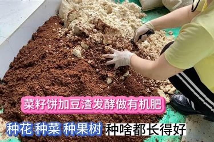菜籽饼怎么发酵肥水