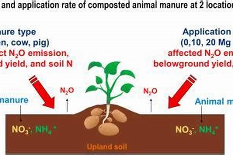 我想找一下有关空气的科学童话故事,可以帮忙么？急!!谢谢
