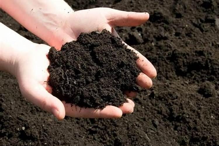 人畜的粪 是哪种肥？ 是 氮肥？是磷肥？还是 钾肥？