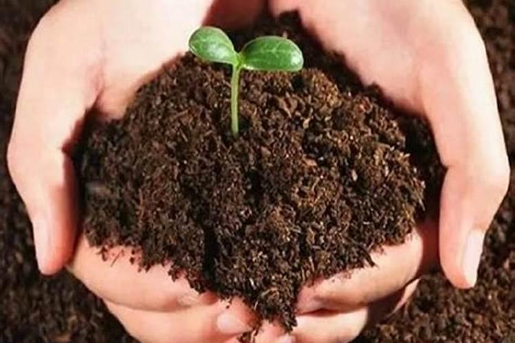 有机肥每亩施多少公斤合适、有机肥一般施后多久起作用