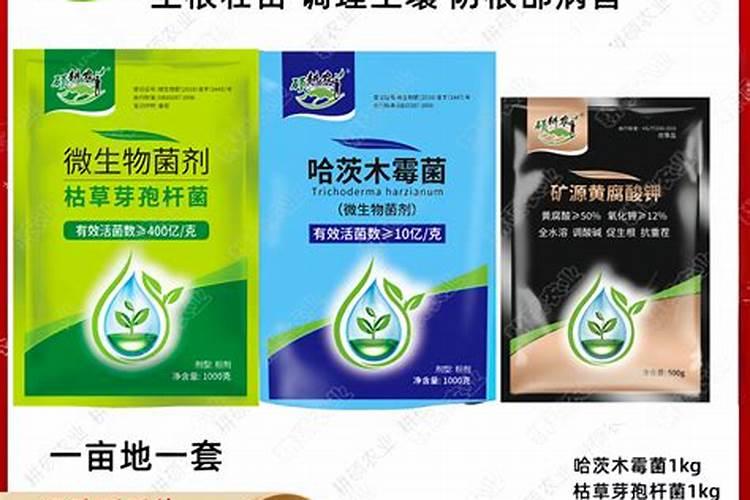 根腐病克星用多少量