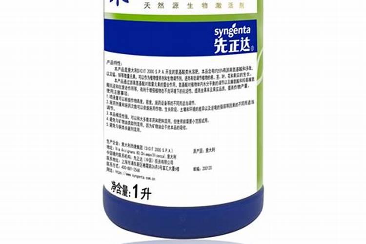 大白菜生长分为按几个阶段？该注意什么？