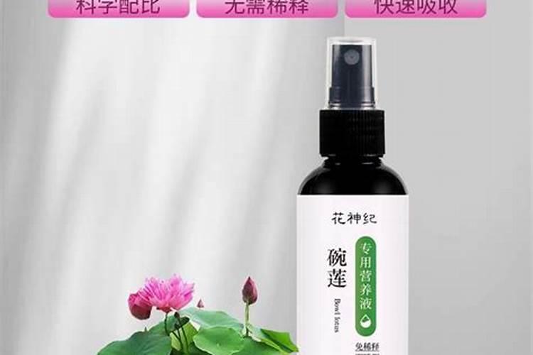 碗莲怎么养才能开花