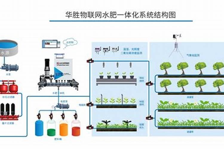 春葱小培土用什么肥料最好