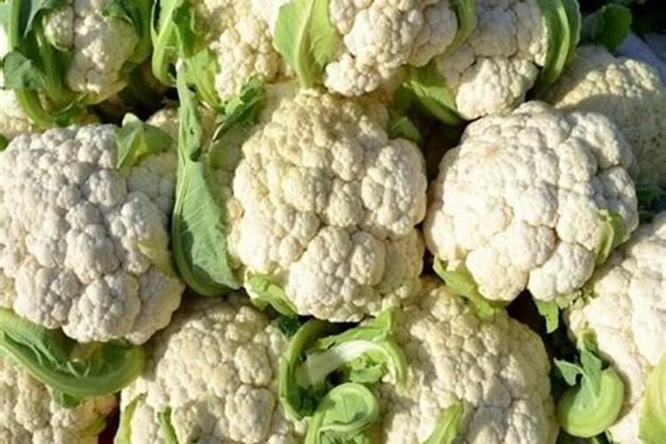 花菜哪些肥料可以用作基肥？花菜专用增产叶面肥料？