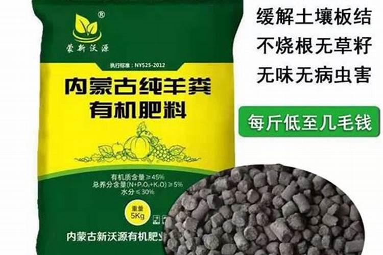 种植盆栽不用土？5步学会养花新技术,再也不用换盆换土!