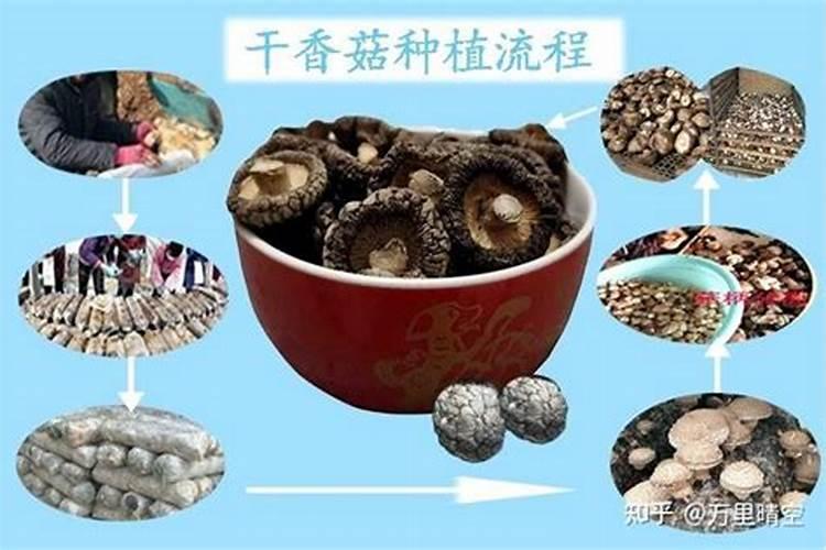 含钾高的蔬菜有那些？