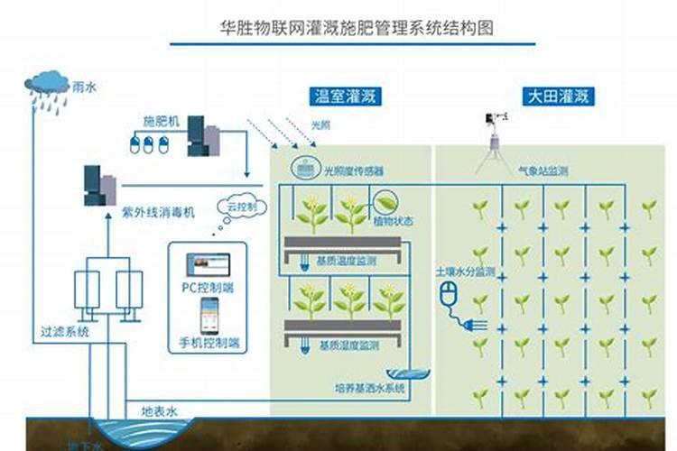 水溶肥的特点是什么？如何选择水溶肥 (上桥生物)