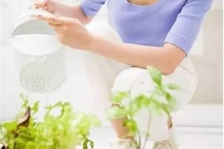 家里什么物品可以归类为氮肥