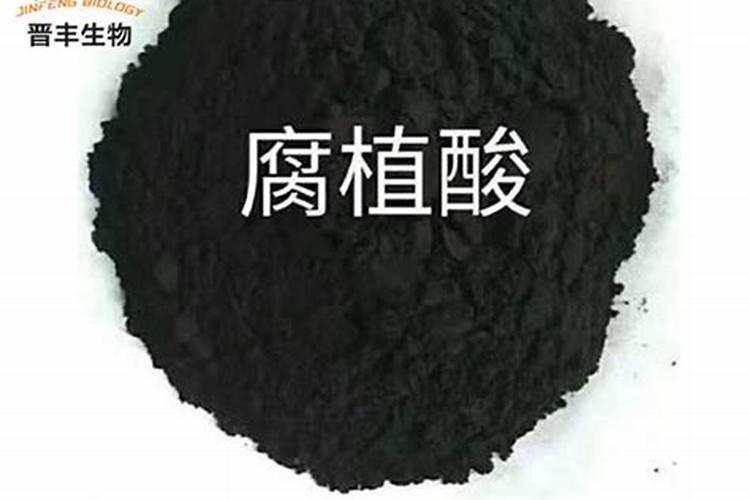 金弹子根上有黑点的原因