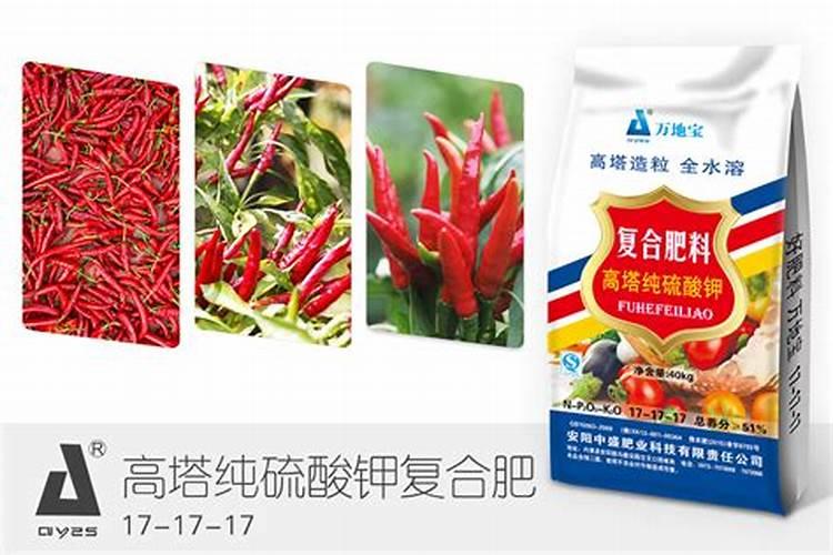 一棵辣椒放多少复合肥